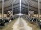 Washington County WI Dairy Land Auction – 288± Acres Photo 5