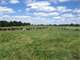 Grazing Dairy and Milk Processing Plant Photo 6