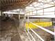 Dairy Farm with Everything You Need for a Fully Functioning Dairy Photo 10
