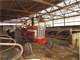 Dairy Farm with Everything You Need for a Fully Functioning Dairy Photo 9