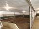 Showplae for Your High Genetic Herd or Equestrian Boarding or Training Photo 7