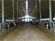Central Wisconsin Wood County Farm Photo 10