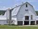 Ayers Brook Goat Dairy - Premiere Goat Dairy in the Heart Vermont Photo 2