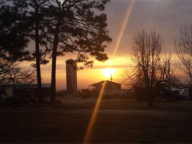 Listing: 6043046, Bonifay, FL