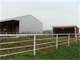 120 Acre Active Dairy Farm Photo 16