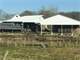 Absolute Auction - Acre Farm - 200 Cow Dairy Facility Photo 3