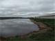 Modern Dairy for 1500 Dairy Cows in North Central Illinois Photo 10