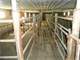 160 Acre 220 Cow Free Stall Dairy- Taylor CO Photo 11
