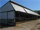 650 Taylor Co. Medfordstetsonville Area Dbl Parlor Dairy Farm 140 Photo 5