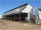 650 Taylor Co. Medfordstetsonville Area Dbl Parlor Dairy Farm 140 Photo 6
