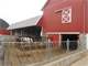 Excellent Heifer Raising Facility Near Marshfield WI Photo 12