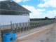 Exceptional 37.52 Acre Dairy Farm Athens WI Photo 4