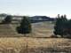 Farmland Auction - 41.51 Acres Plus Farm Equipment Photo 4