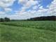 270 Ac. Chester County 1500 Cow Dairy Farm Photo 4