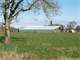 Willamette Valley Grass Based Dairy Photo 1