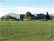 Willamette Valley Grass Based Dairy Photo 2