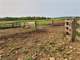 Acre Wood County Organtic Dairy Beef Horse Farm with More Land Available Photo 14