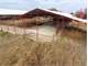 Incredible 200 Cow Free-Stall Dairy Located in Scenic NE Texas Photo 13