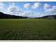 Grazing Dairy Operation ON 437.32 Acres in Southern Georgia Photo 14