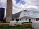 Very Nice Dairy in Saint Croix County WI with Excellent Home Photo 4