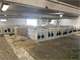 200 Cow Turnkey Dairy Farm for Sale in NE Iowa Photo 9