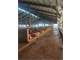 550 Cow Dairy Expandable in Great Dairy Area Photo 13