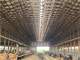 550 Cow Dairy Expandable in Great Dairy Area Photo 16