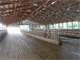 Western Marathon County Dairy Showplace- 300 Cow Freestall Farm Photo 19