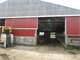 Western Marathon County Dairy Showplace- 300 Cow Freestall Farm Photo 6