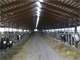 600 Cow Dairy in Clark County Photo 11