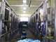 600 Cow Dairy in Clark County Photo 14
