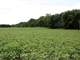 Auction 9-29-Absolute Real Estate- 520 Acres Offered in 5 Tracts in Polk CO Photo 16