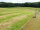 Auction 9-29-Absolute Real Estate- 520 Acres Offered in 5 Tracts in Polk CO Photo 8