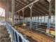 458 Acres Boones Mill VA Franklin County Dairy Farm Photo 9