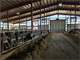 Acres 300 Cow Dairy in Pierce County More Land Available Photo 10