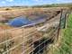 Acres 300 Cow Dairy in Pierce County More Land Available Photo 15
