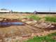 Dairy Farm for Sale in Florida. 132 Acres Dairy Farm Photo 1