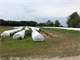 Dairy Farm for Sale in Florida. 132 Acres Dairy Farm Photo 4
