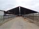 Texas Dairy Farm with 242.446 Acres Photo 6