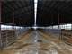 Texas Dairy Farm with 242.446 Acres Photo 7
