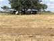 Turn Key Central Texas Dairy Farm