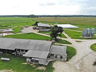 lafayette irrigated silage