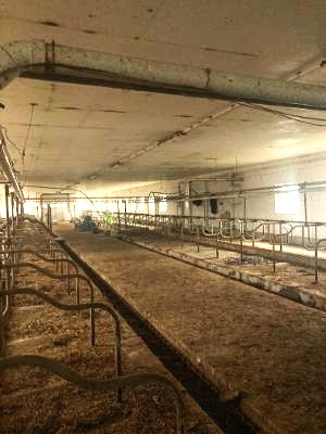 Green County Wisconsin 110 acre dairy