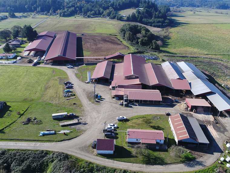 970 Acre Organic Dairy – Organic West Producer – Myrtle Point Oregon