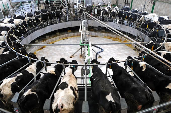 Dairy Farm Succession — Preparing the Next Generation